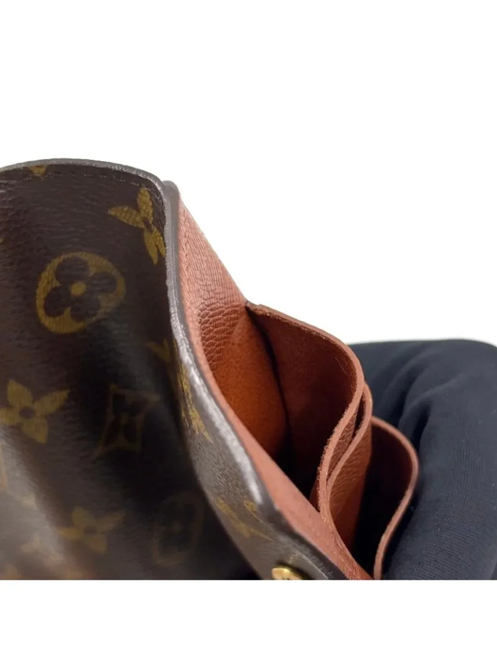 Louis Vuitton brand louis